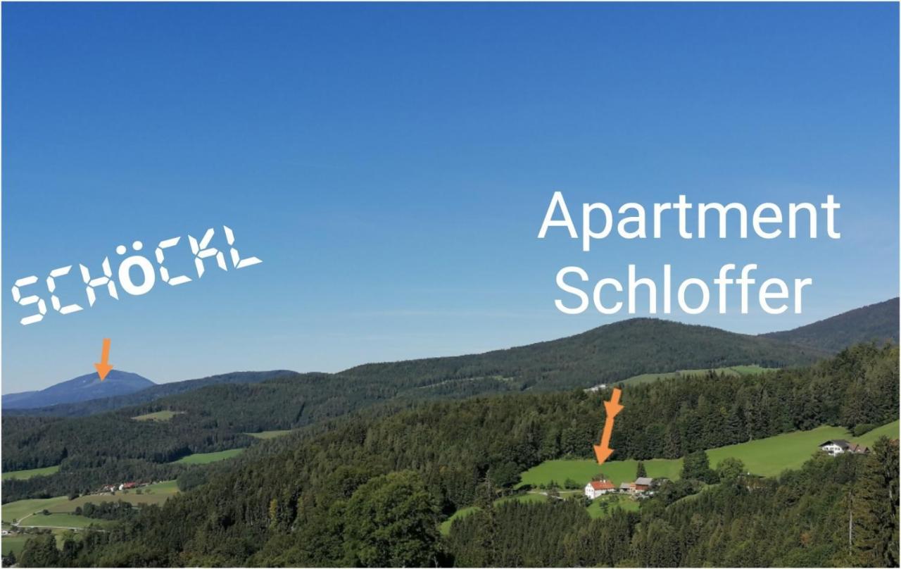 Apartment Schloffer Weiz Zewnętrze zdjęcie