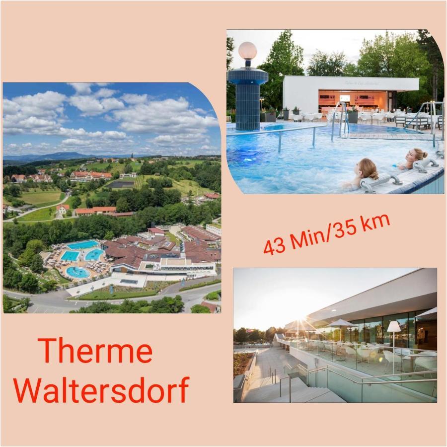 Apartment Schloffer Weiz Zewnętrze zdjęcie